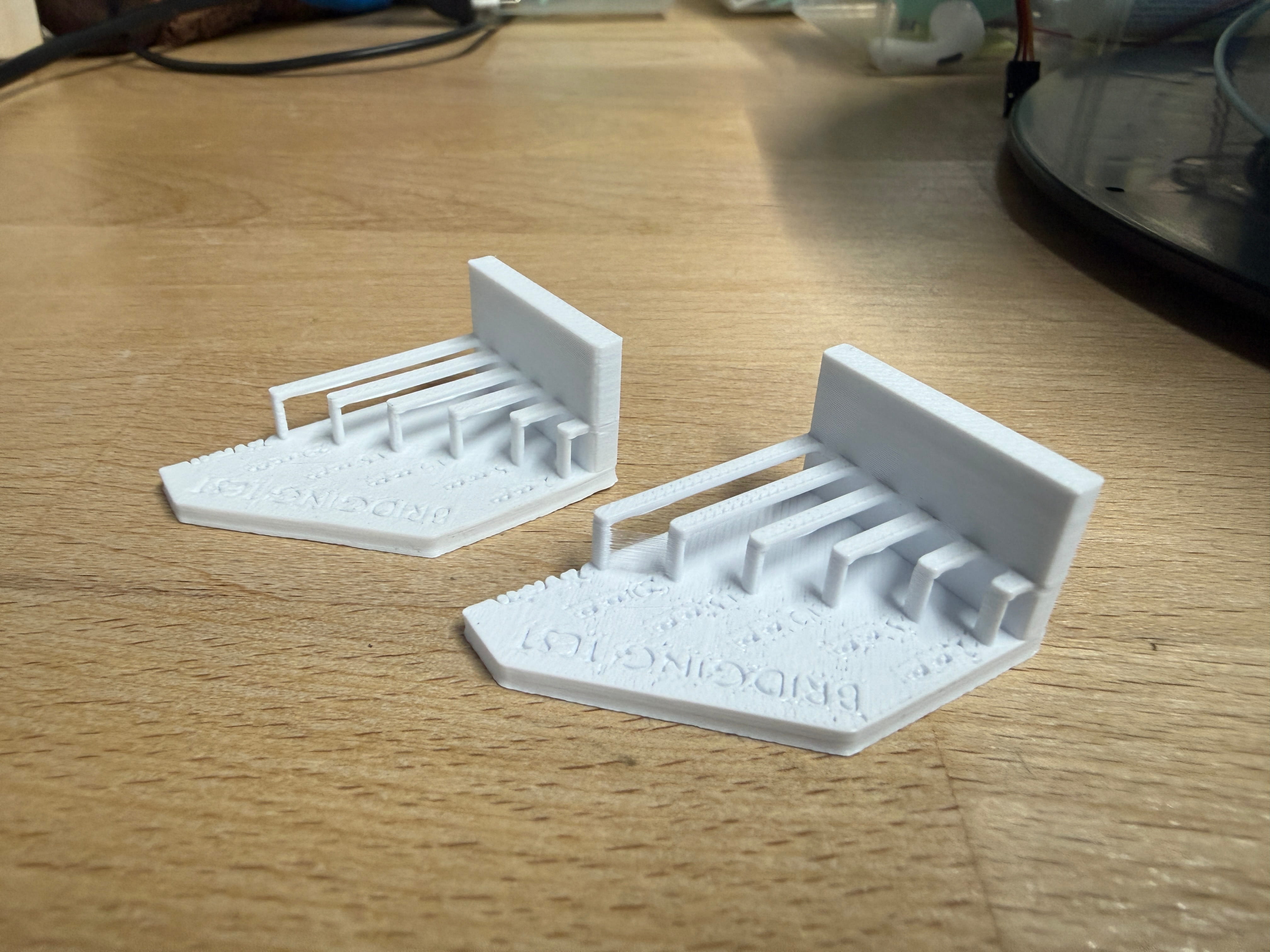 Bridging test print